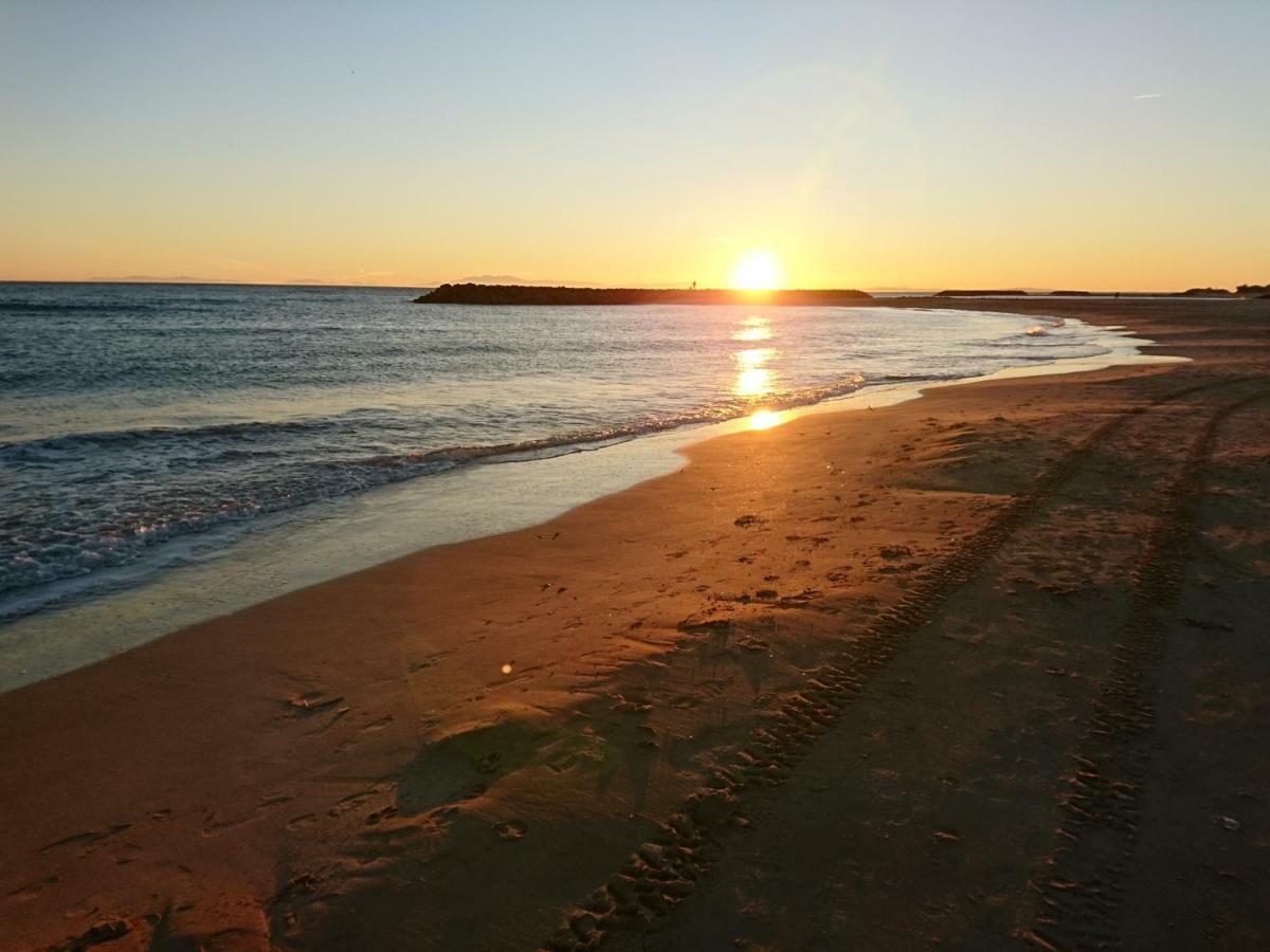 Residence Aquaplage 45M2 Front De Mer Plage Richelieu Agde Eksteriør billede